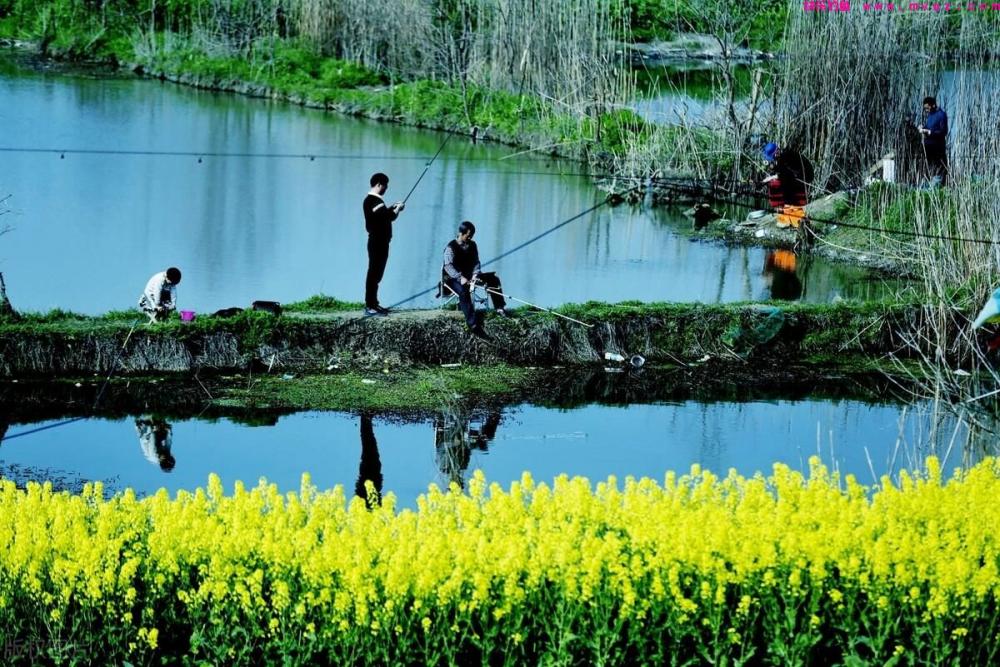 野外垂钓时，如何避免小杂鱼闹窝？教你4个方法，轻松解决！(图4)