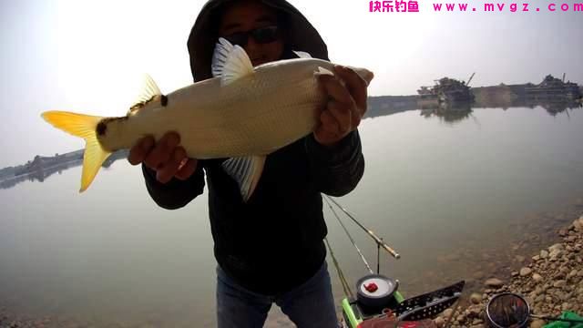野钓技能之：闻水识鱼，可选准钓点判断钓法针对目标鱼(图3)
