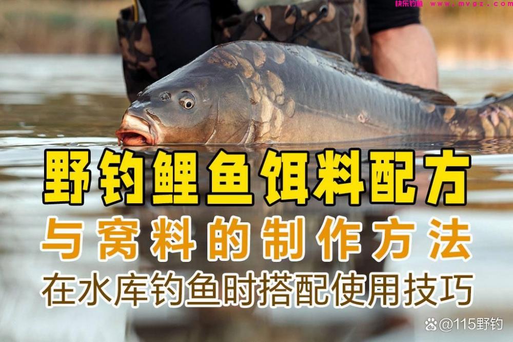 野钓鲤鱼鲫鱼饵料配方大全及窝料制作方法，水库钓鱼时搭配用技巧(图2)