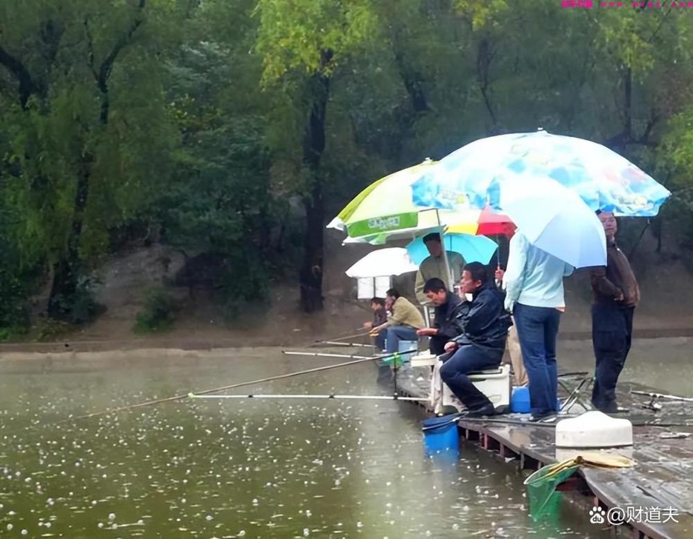 想在雨季顺利钓鱼？这些技巧必须掌握！(图1)