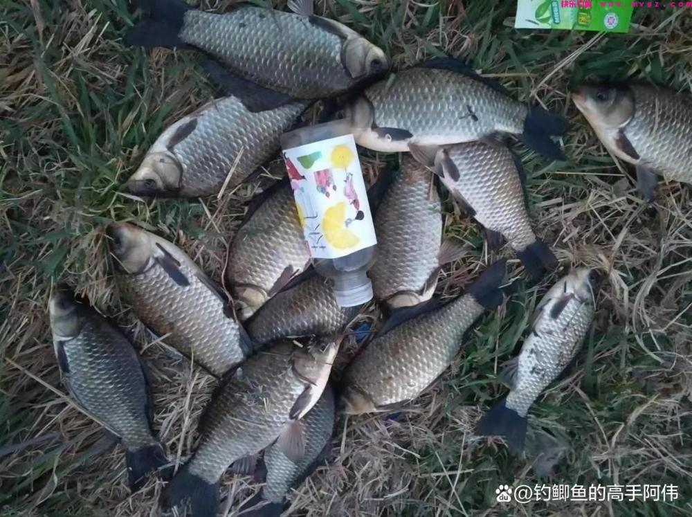 又是一年钓鱼季，老师傅晚春钓大板鲫的一些经验，条条都是精华！(图5)