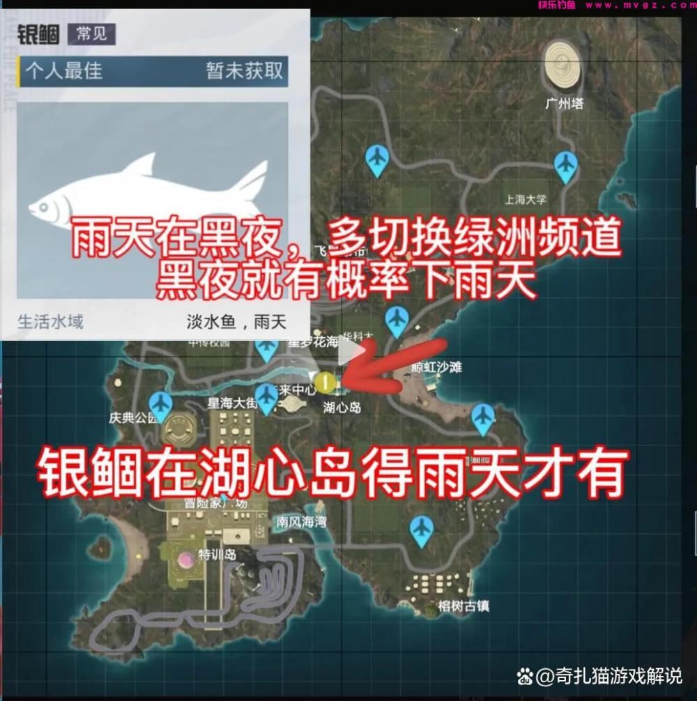 和平精英绿洲世界：除了鱼竿，你知道还有这些技巧可以助你钓鱼吗(图10)