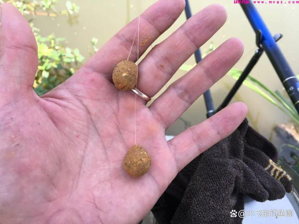 开鲤鱼饵的小技巧，按照此方法，咬钩的都是大家伙，野河屡试不爽(图1)