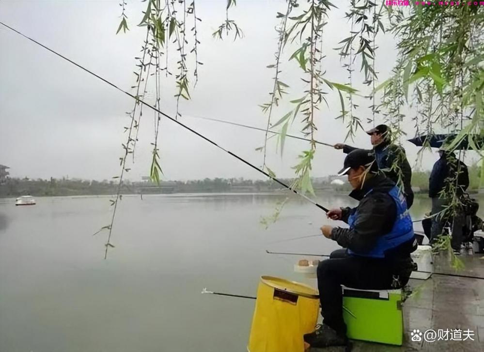 春季钓鱼 别样的乐趣等你来体验(图1)
