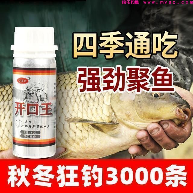 新手钓鱼想要好鱼获，得先了解这四个入门的基础常识(图7)