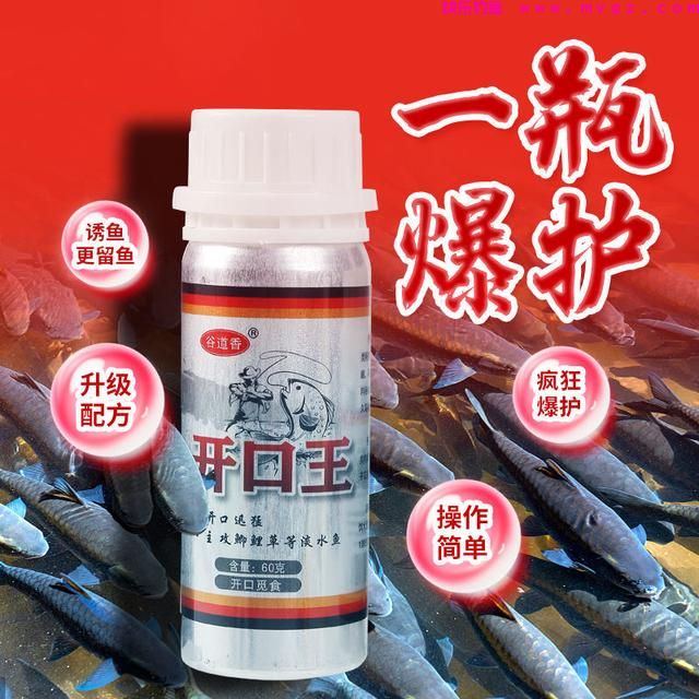 新手钓鱼想要好鱼获，得先了解这四个入门的基础常识(图6)