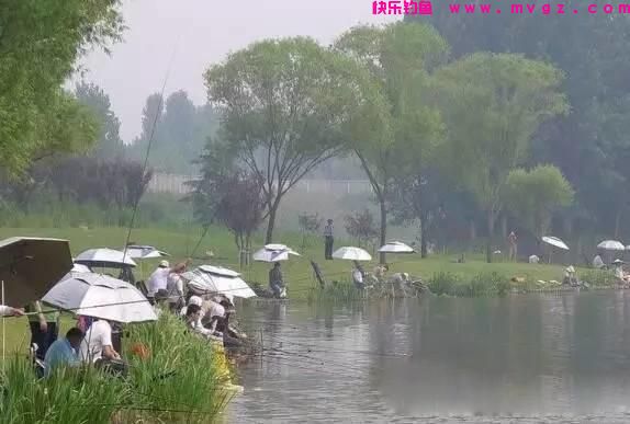 什么时候吃透了钓鱼的这5个经验技巧，新手就能升级成老手了(图2)