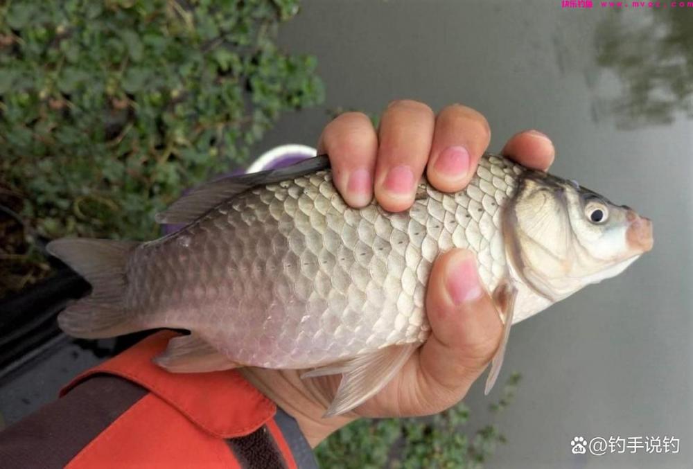 钓鱼怎样找到“鱼道”？经验之谈，建议收藏(图6)