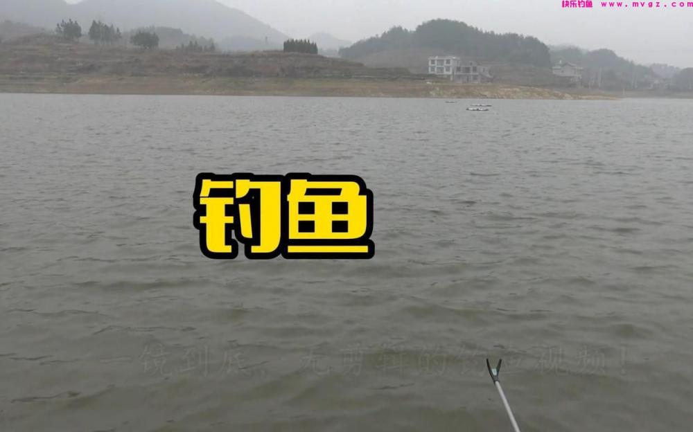 钓友们怎么通过网络学钓鱼知识？大家要学会取舍，避免被误导(图6)