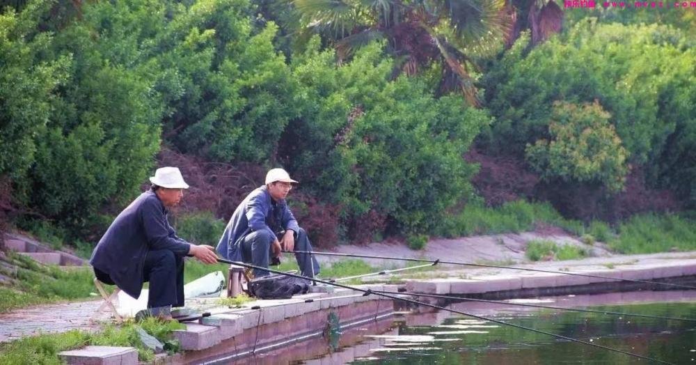 钓鱼的技能小知识(图1) 钓鱼的技能小知识(图1)