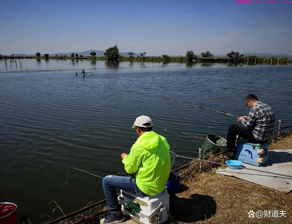 老钓友分享钓鱼经验:春季钓鱼钓深还是钓浅(图1) 老钓友分享钓鱼经验:春季钓鱼钓深还是钓浅(图1)