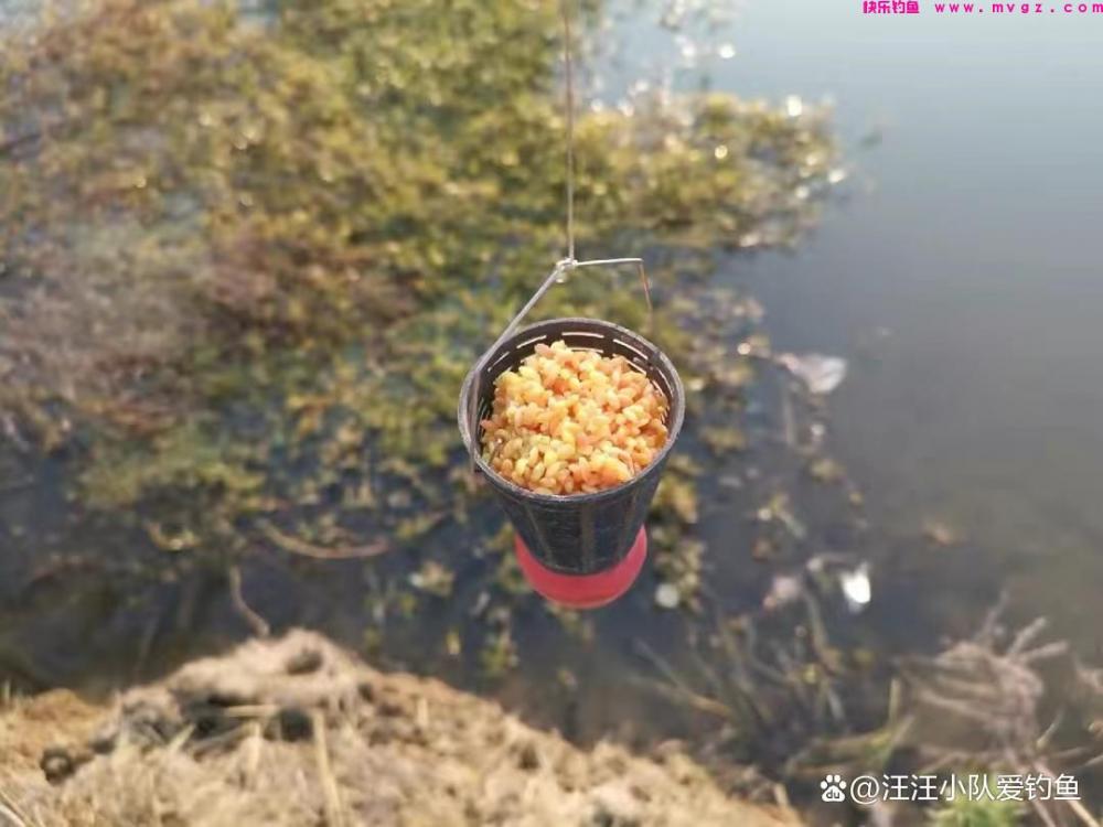 全国各地区常见钓法介绍，有没有钓友所擅长的？(图3)