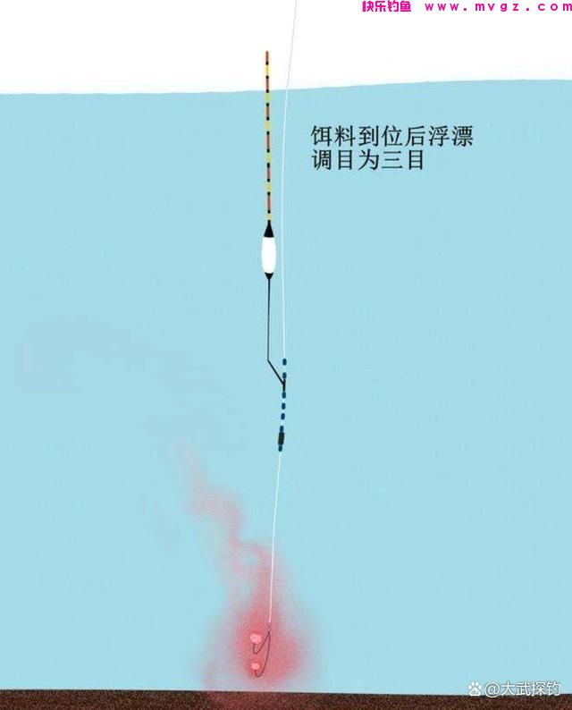 台钓实战当中的几种爆护钓法(图1)