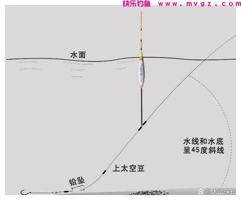 台钓实战当中的几种爆护钓法(图4)