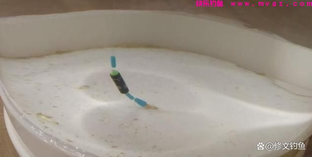 台钓中最常见的钓法有哪些？怎么操作又分别应对什么鱼情？(图5)