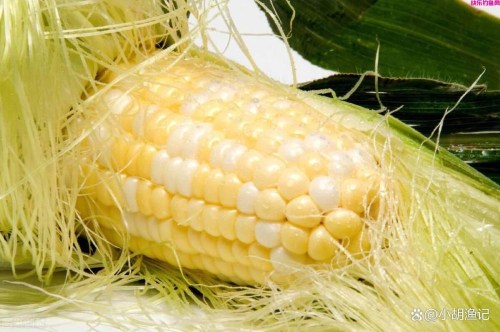 春季钓大鱼，这款天然饵料才是野钓王者！操作简单中鱼率高！(图1)