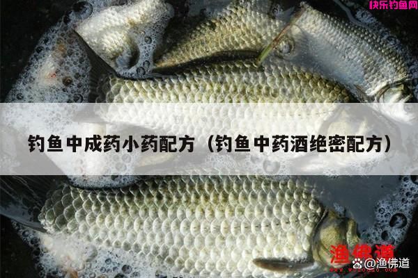 钓鱼中成药小药配方（钓鱼中药酒绝密配方）(图1)