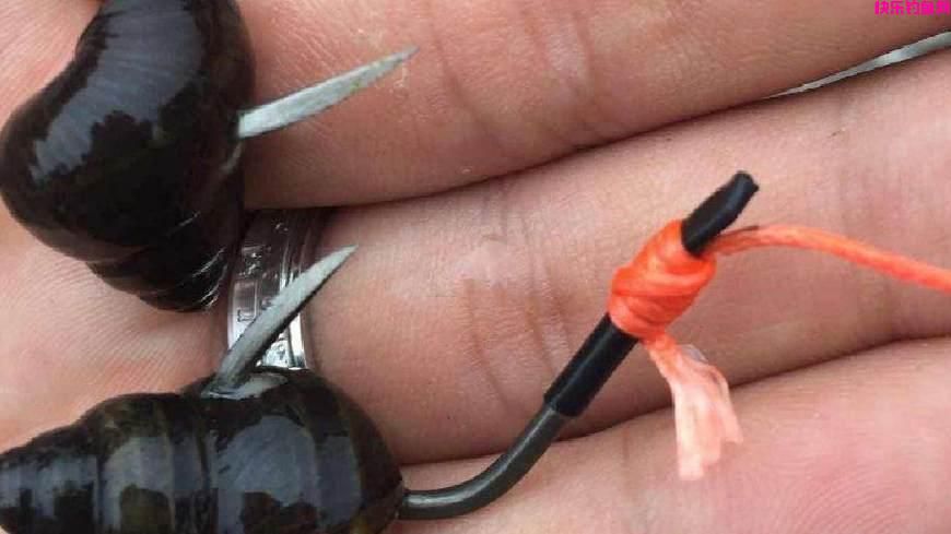 钓鱼常用的虫饵有哪些？适钓哪些鱼种以及垂钓效果如何？(图4)