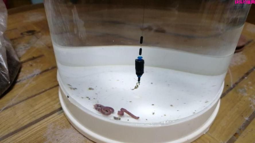 钓鱼常用的虫饵有哪些？适钓哪些鱼种以及垂钓效果如何？(图5)