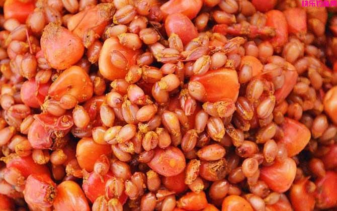 野钓用什么饵料好？(图5)