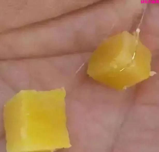适合野钓的4款饵料，高效还便宜(图4)