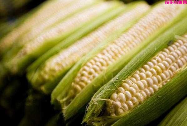 夏季野钓超好用的五款“天然饵料”，只有对症下药才能鱼口不断(图2)