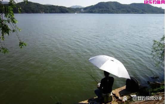 夏季钓鱼，若想爆护，“四字真言”要牢记，下竿就上鱼，鱼获翻倍(图2)