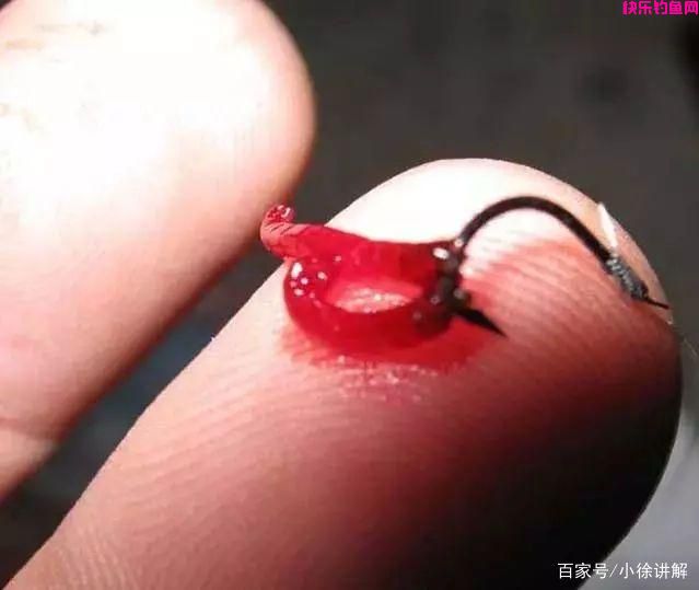 老钓友教你，钓鱼应该使用面饵还是虫饵？(图1)