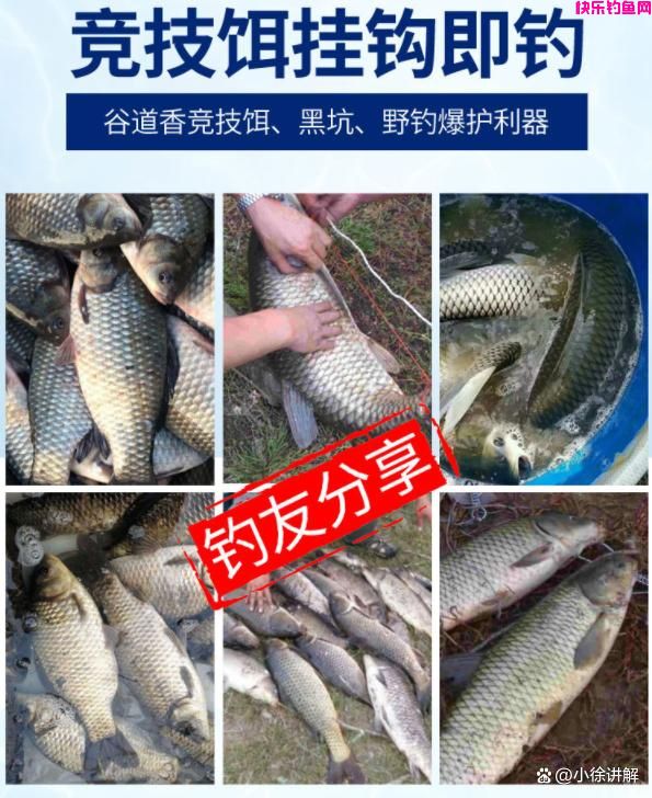老钓友教你，钓鱼应该使用面饵还是虫饵？(图6)