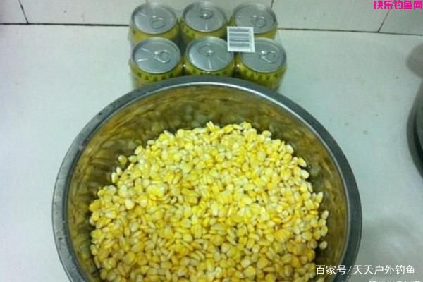 素饵之王，玉米饵料的8种配方，夏季野钓大鱼必备饵料！(图5)