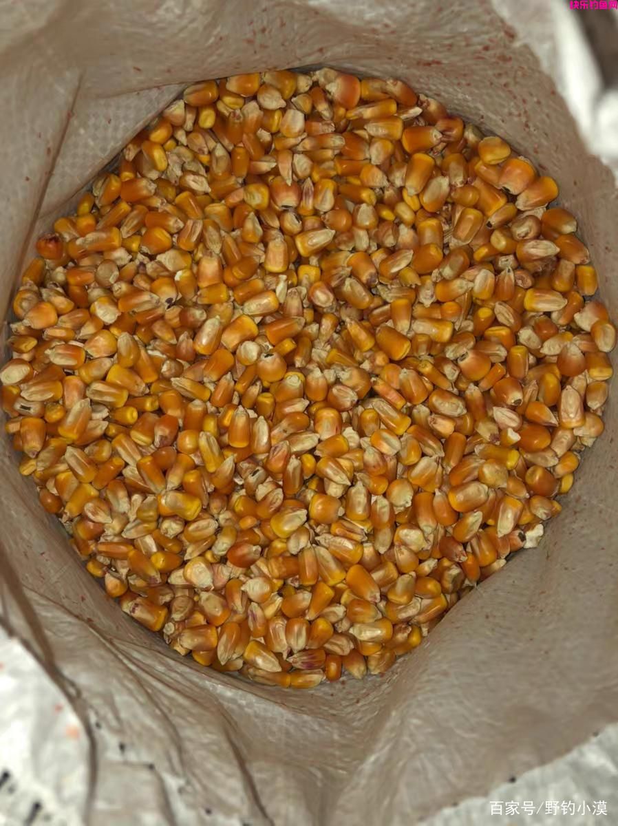 野钓鲤鱼的天然饵料，效果好价格低，你值得拥有(图4)
