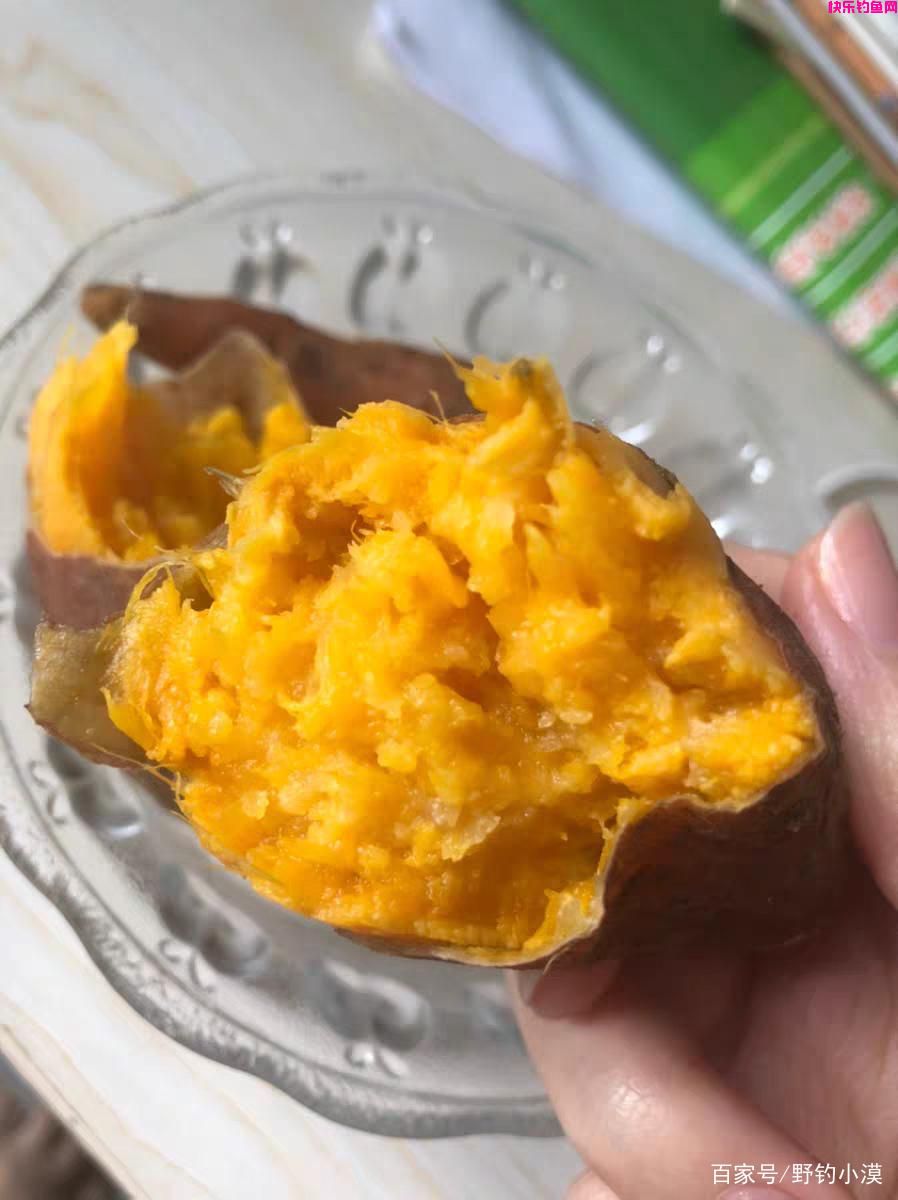 野钓鲤鱼的天然饵料，效果好价格低，你值得拥有(图5)