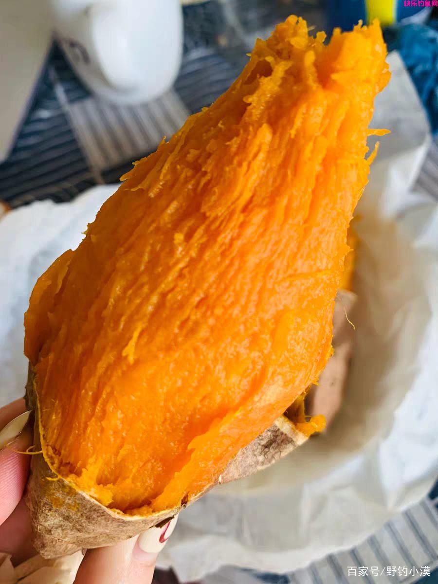 野钓鲤鱼的天然饵料，效果好价格低，你值得拥有(图6)