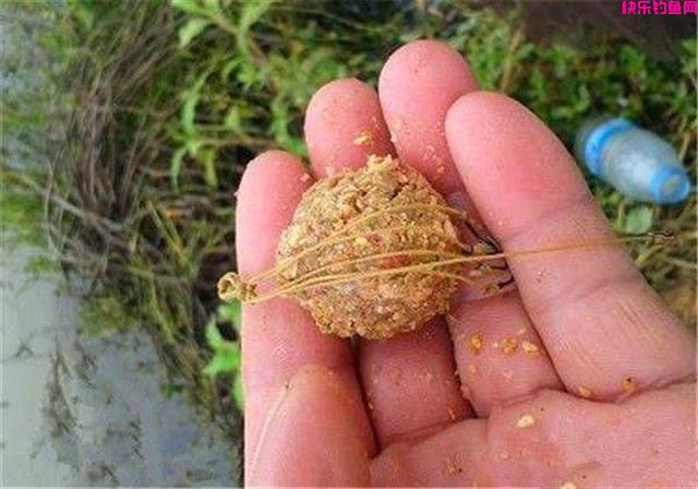 钓鱼这些年，根据自己的经验总结，分享几种自制钓饵(图2)
