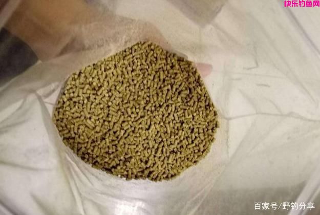 钓鱼：如何选择一款饵料？先从这3个基础认识入手！(图2)