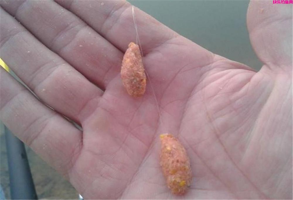 钓鱼时饵料是关键，教你3招轻松选对饵料，不再白白花冤枉钱(图2)