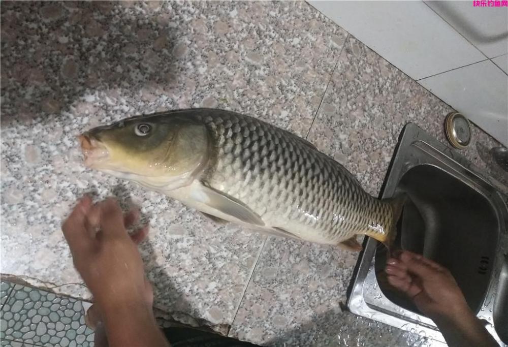 钓鱼时饵料是关键，教你3招轻松选对饵料，不再白白花冤枉钱(图3)