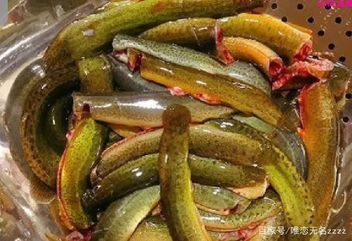 真香!野钓用这6种“天然饵”,“零成本”也能连竿到手软(图4) 真香!野钓用这6种“天然饵”,“零成本”也能连竿到手软(图4)