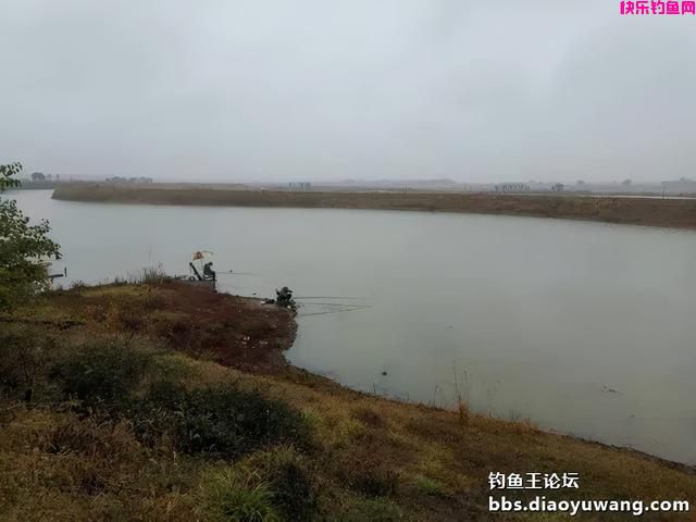 冬季一包搞定，就用钓鱼王腥香+酒米饵(图4)