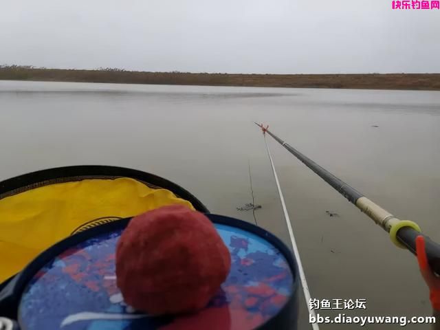 冬季一包搞定，就用钓鱼王腥香+酒米饵(图7)
