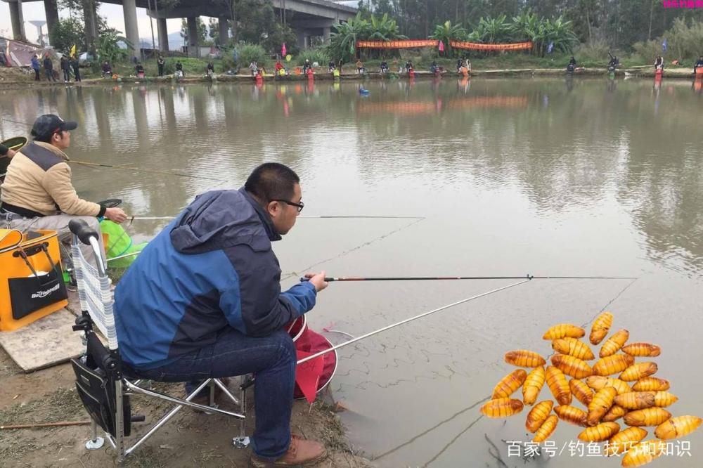 中秋以后钓鱼饵料要加腥，哪些腥味辅助饵料最好用？腥味饵料盘点(图2)