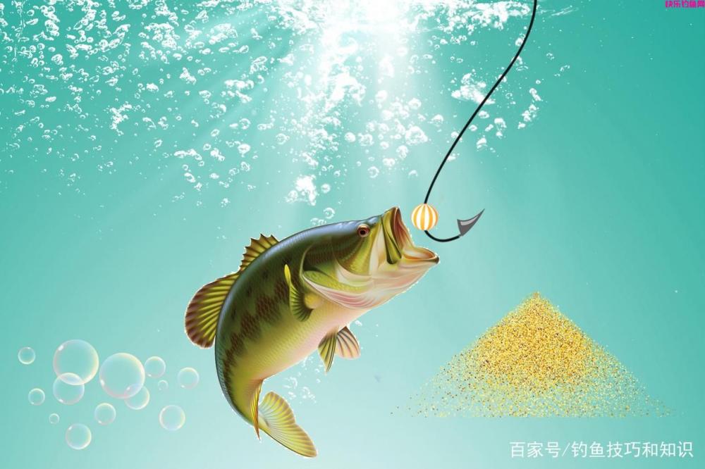 钓鱼饵料、窝料和钓饵有什么区别？饵料、窝料和钓饵的概念详解(图1)