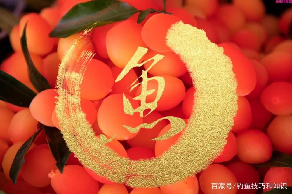 钓鱼饵料、窝料和钓饵有什么区别？饵料、窝料和钓饵的概念详解(图3)
