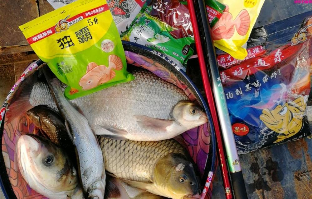 野钓多年实战用饵总结，这样搭配最好用，不信你就试试看！(图6)