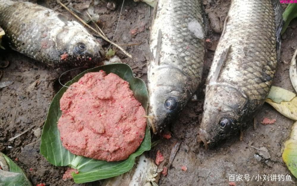 野钓多年实战用饵总结，这样搭配最好用，不信你就试试看！(图3)