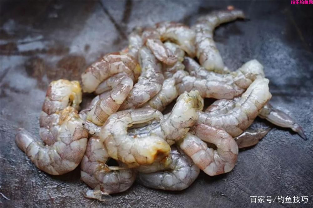 钓鱼技巧：饵料使用的基本常识，这是钓鱼人的必修课！(图4)