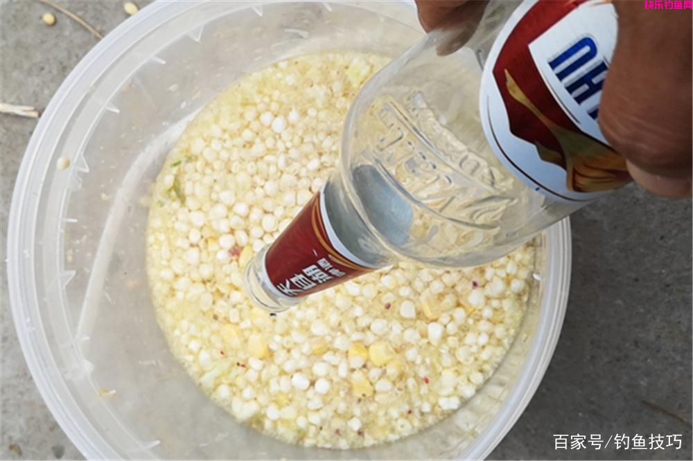 钓鱼技巧：饵料使用的基本常识，这是钓鱼人的必修课！(图5)