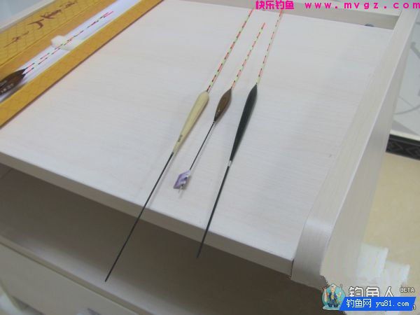 钓友对达人鱼漂的一些评测(图10)