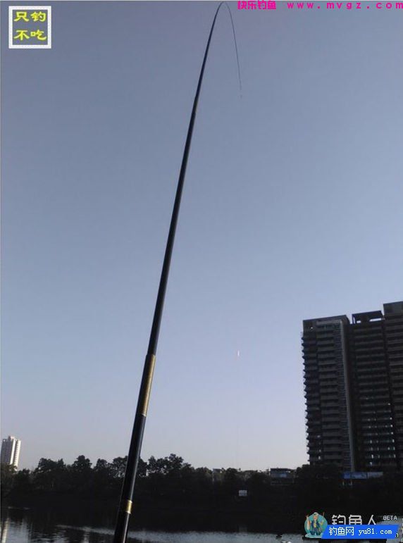 玄风鲤钓竿的详细评测报告(图15)