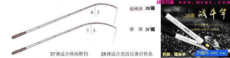  新手如何选择一款合适的鱼竿?(图5)